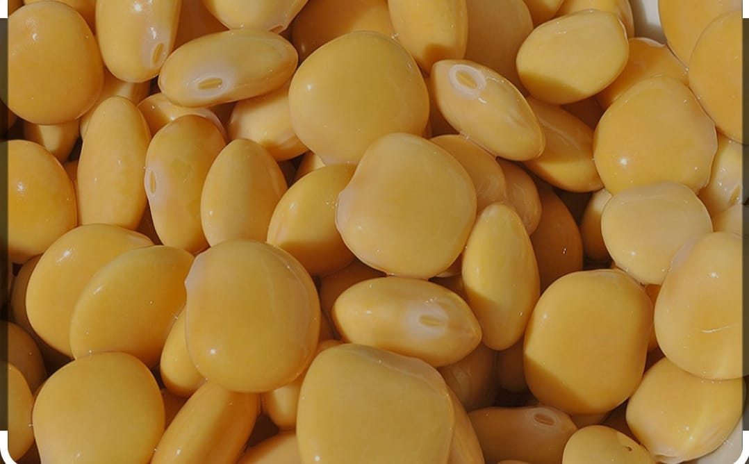 Lupini